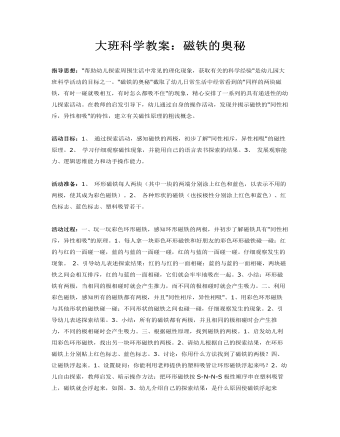 大班科学教案:磁铁的奥秘