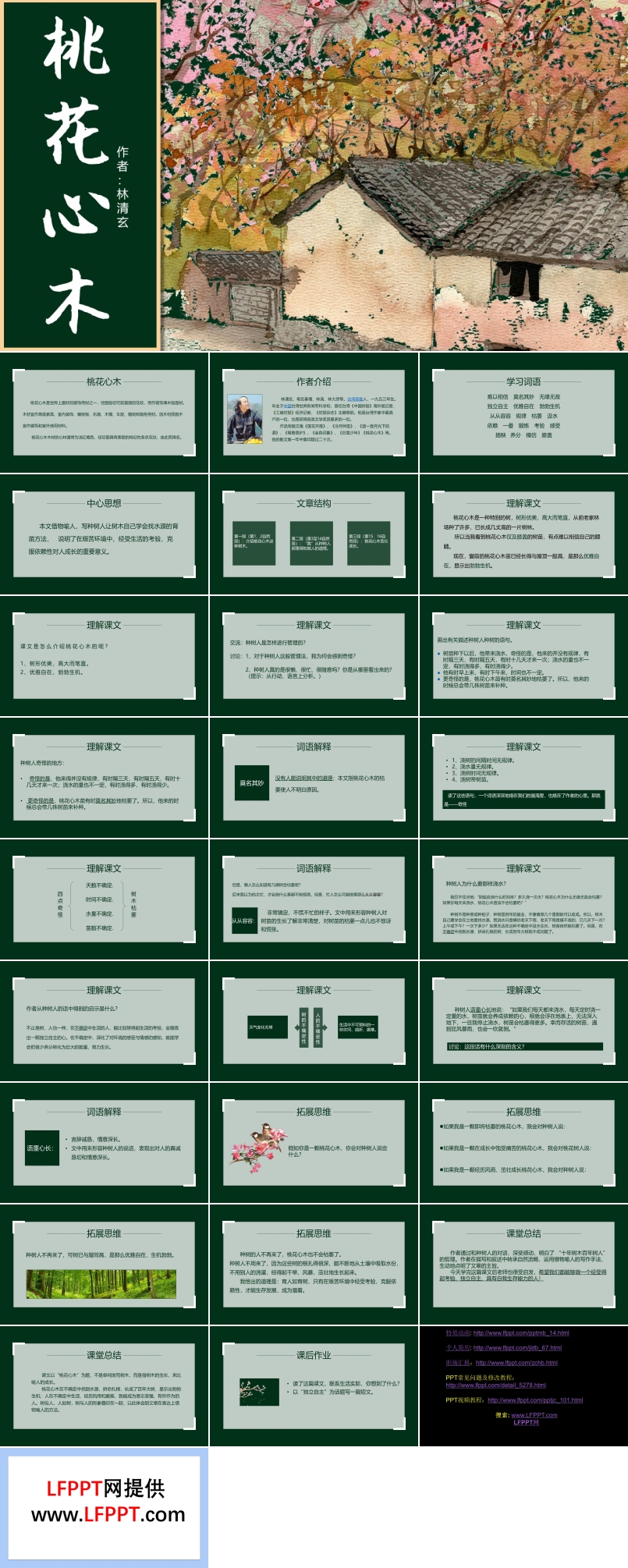 人教版桃花新木PPT课件