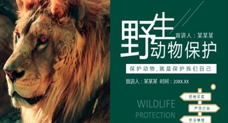 保护野生动物ppt