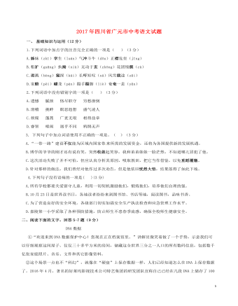 四川省广元市2017年中考语文真题试题(含答案)