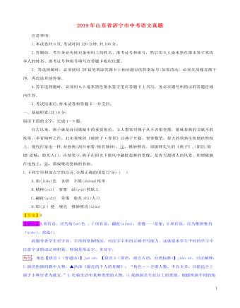 山东省济宁市2019年中考语文真题试题(含解析)