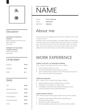 简洁黑白商务销售英文简历模版