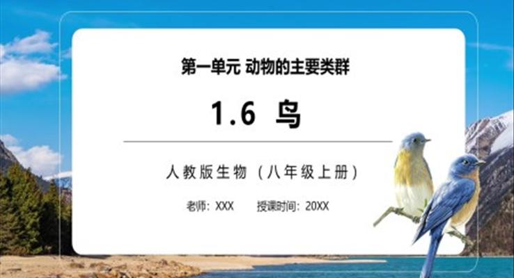 鸟PPT课件模板部编版八年级生物上册