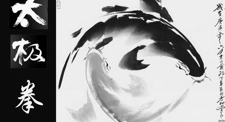 太极拳进化史详细介绍PPT模板