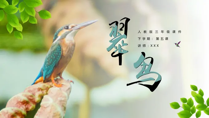 《翠鸟》教育教学课件PPT