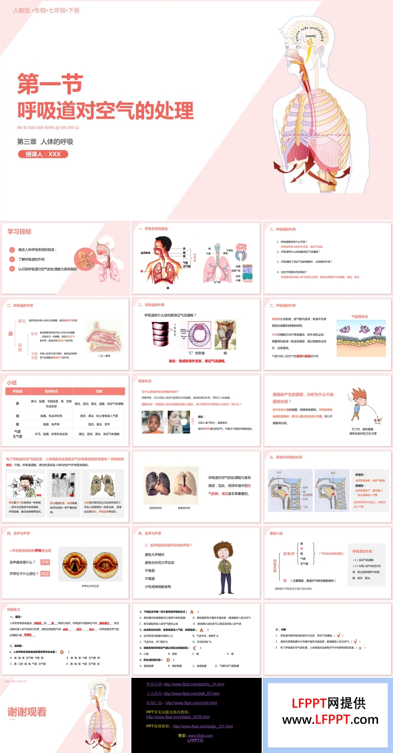 呼吸道对空气的处理PPT课件