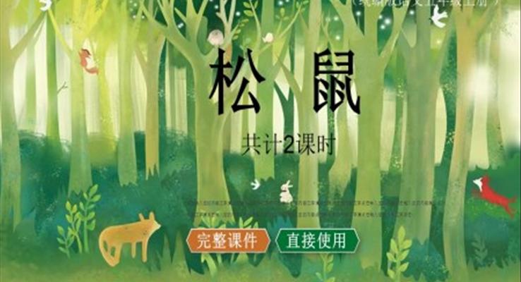 松鼠ppt课件完美版