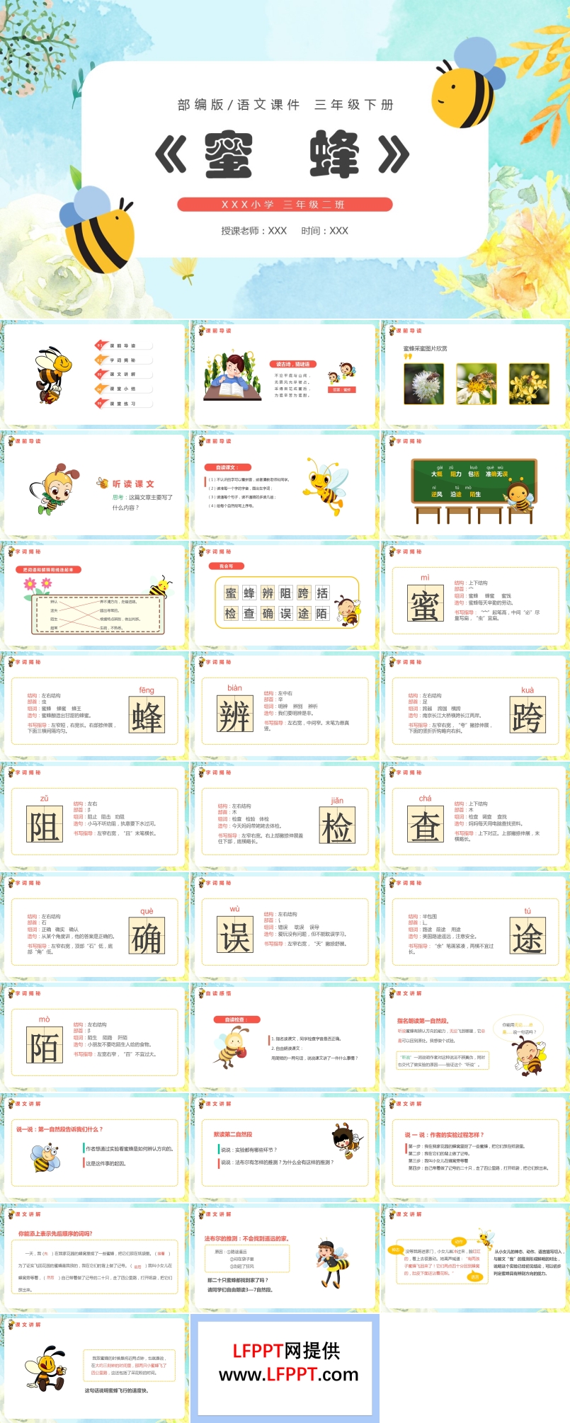 蜜蜂ppt课件