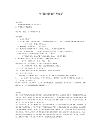 中班科学课件教案:稻子和麦子