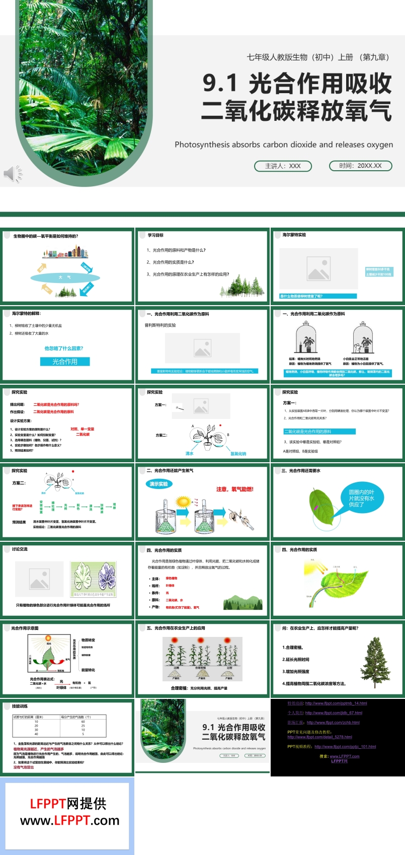 部编版七年级生物上册光合作用吸收二氧化碳释放氧气课件PPT