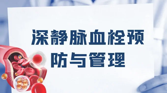 深静脉血栓预防与管理医疗护理ppt含讲稿