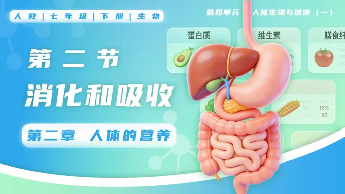 4.2.2 消化和吸收七年级生物下册第四单元PPT课件（教案+导学案+分层作业）