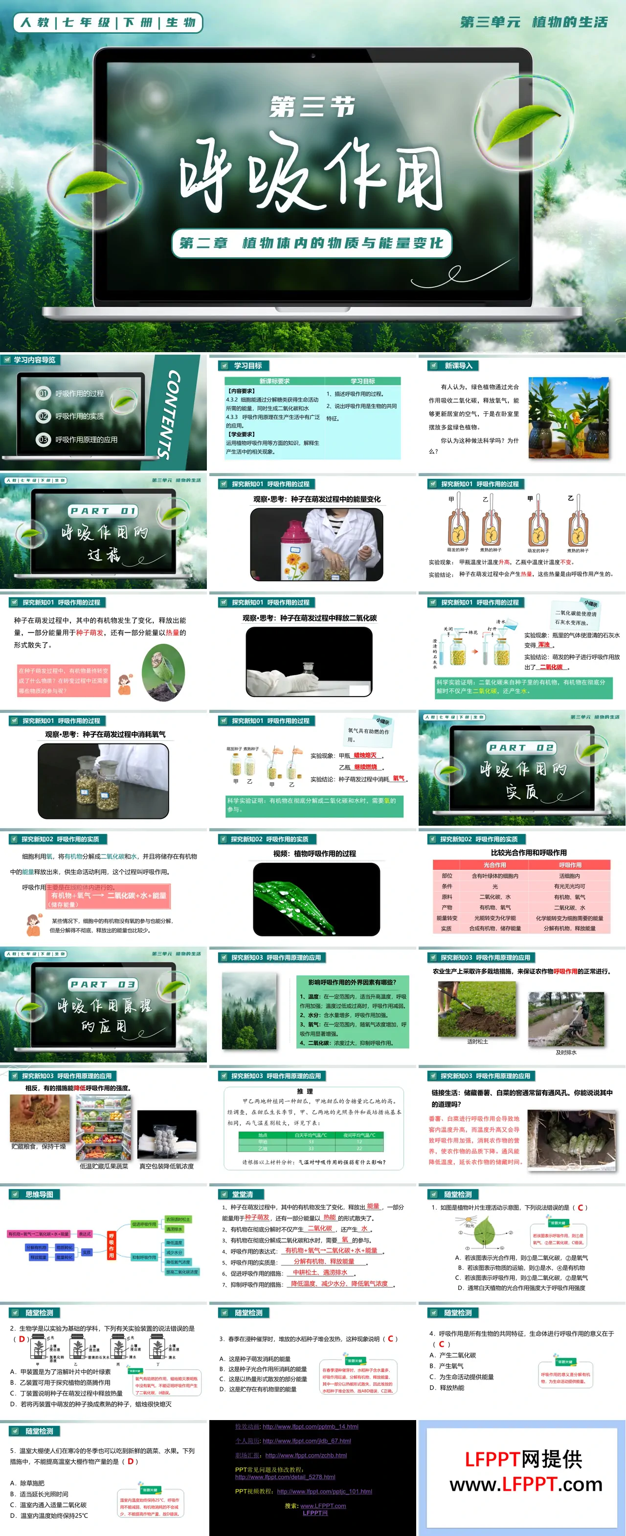 3.2.3 呼吸作用七年级生物下册第三单元PPT课件（教案+导学案+分层作业）