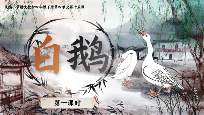 《白鹅》部编小学语文四年级下册PPT课件含教案