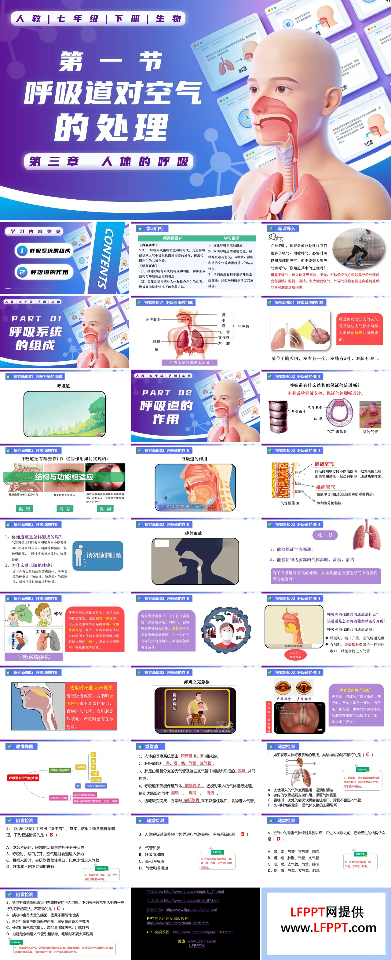 4.3.1 呼吸道对空气的处理七年级生物下册第四单元PPT课件（教案+导学案+分层作业）