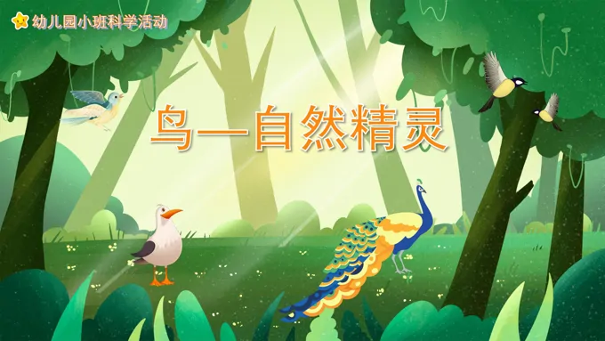 幼儿园教学课件科学教育《鸟自然精灵》PPT课件