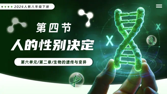 6.2.4 人的性别决定新教材人教八年级生物下册第2章PPT课件（含教案+导学案+提升讲义+分层作业）