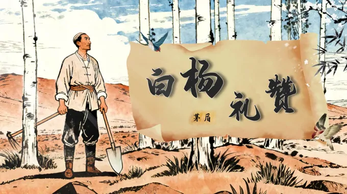 《白杨礼赞》部编八年级语文上册第四单元PPT课件含教案