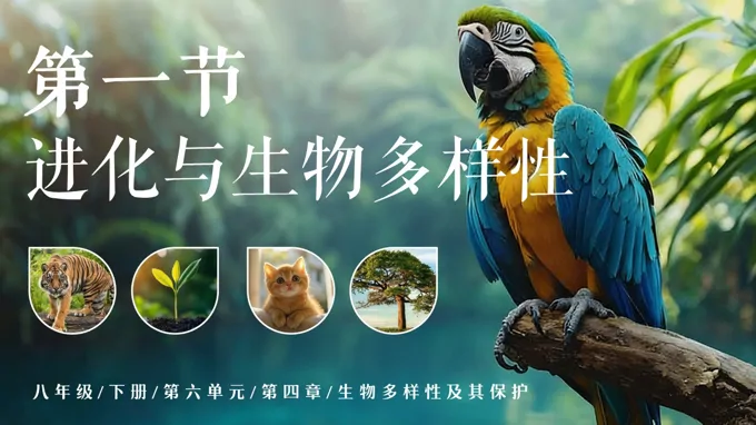 八年级下册人教 生物六单元第四章《6.4.1 进化与生物多样性》ppt课件（教案）
