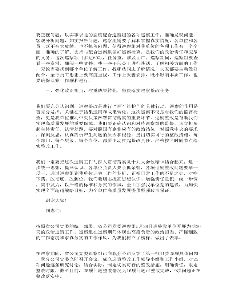 政治巡察表态发言