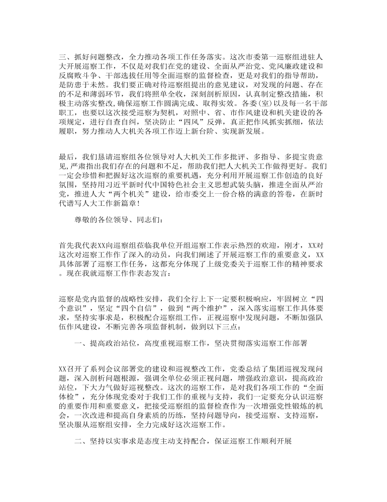 政治巡察表态发言