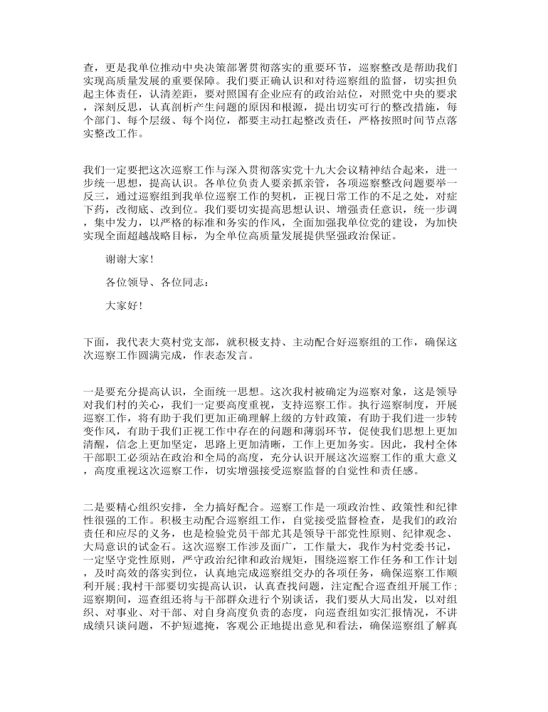 巡查动员会表态发言