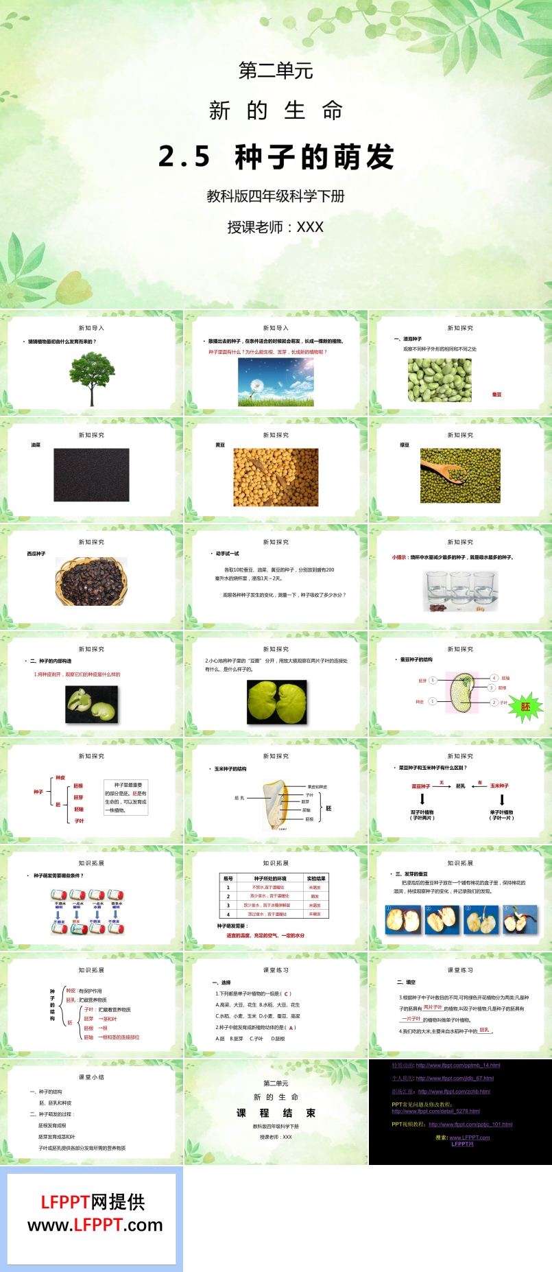 新的生命种子的萌发PPT课件