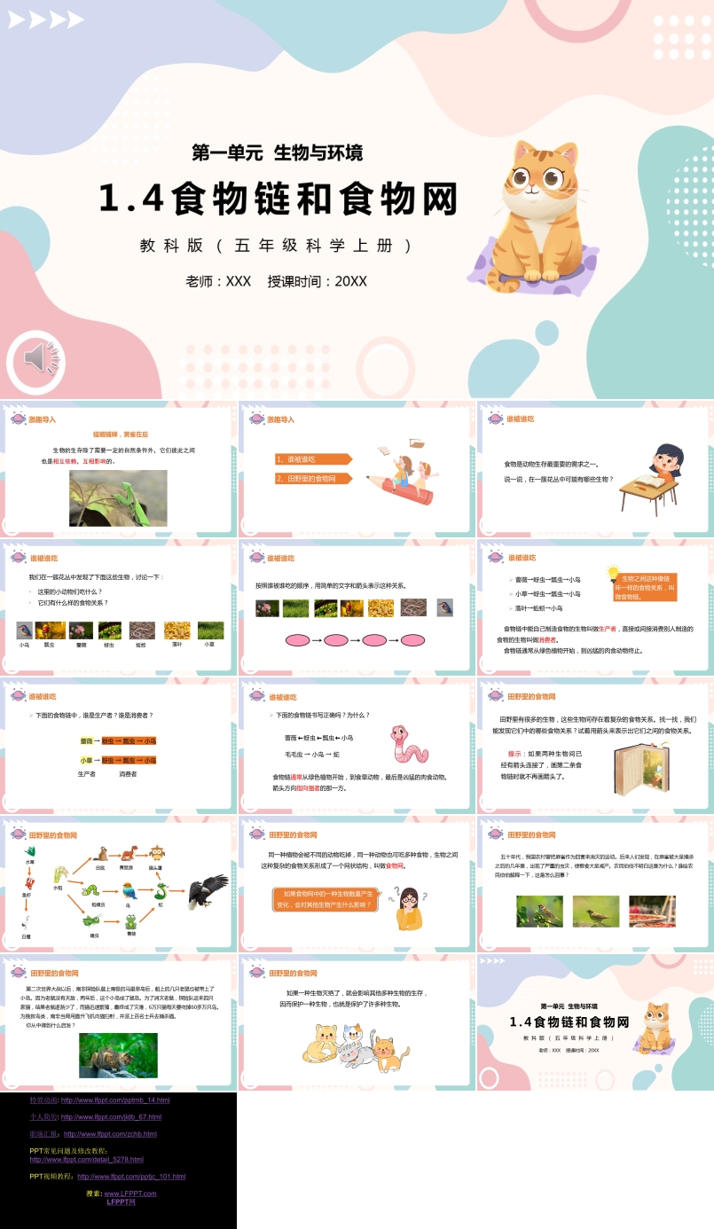 教科版五年级科学上册食物链和食物网PPT课件模板