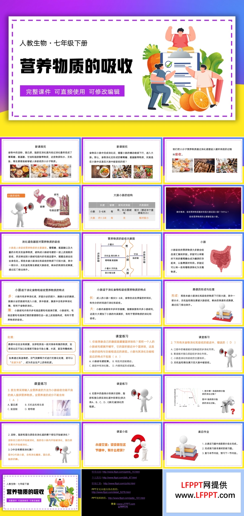 七年级生物下册营养物质的吸收PPT课件