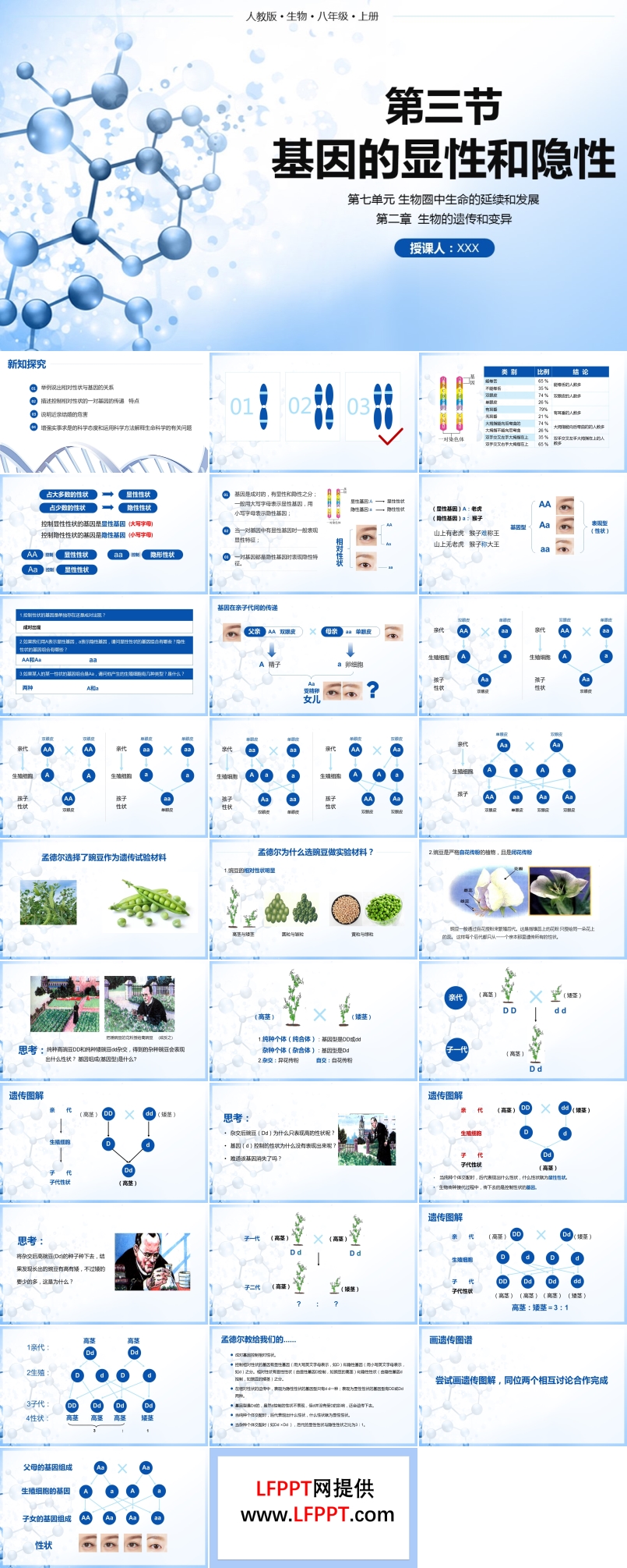 人教版八年级生物下册课件基因的显性和隐性PPT课件