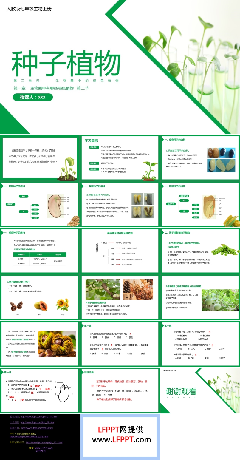 初中生物人教版七年级上册《种子植物》教育教学课件PPT模板