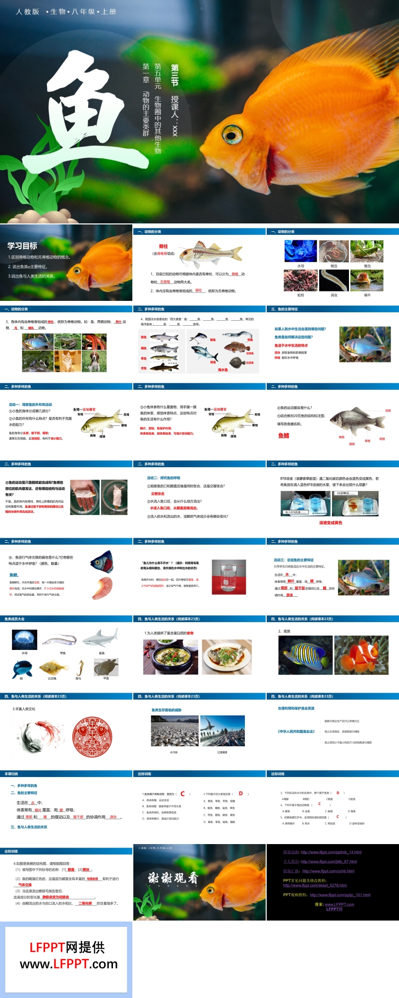 初中生物人教版八年级上册《鱼》PPT课件模板
