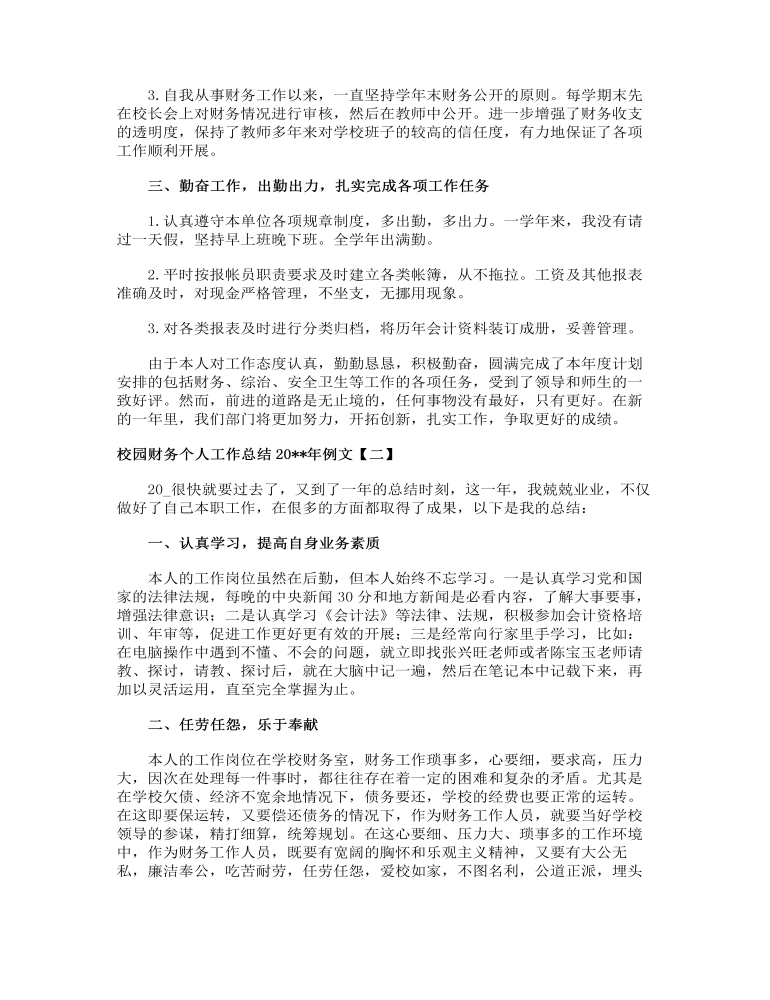 校园财务个人工作总结2023年例文