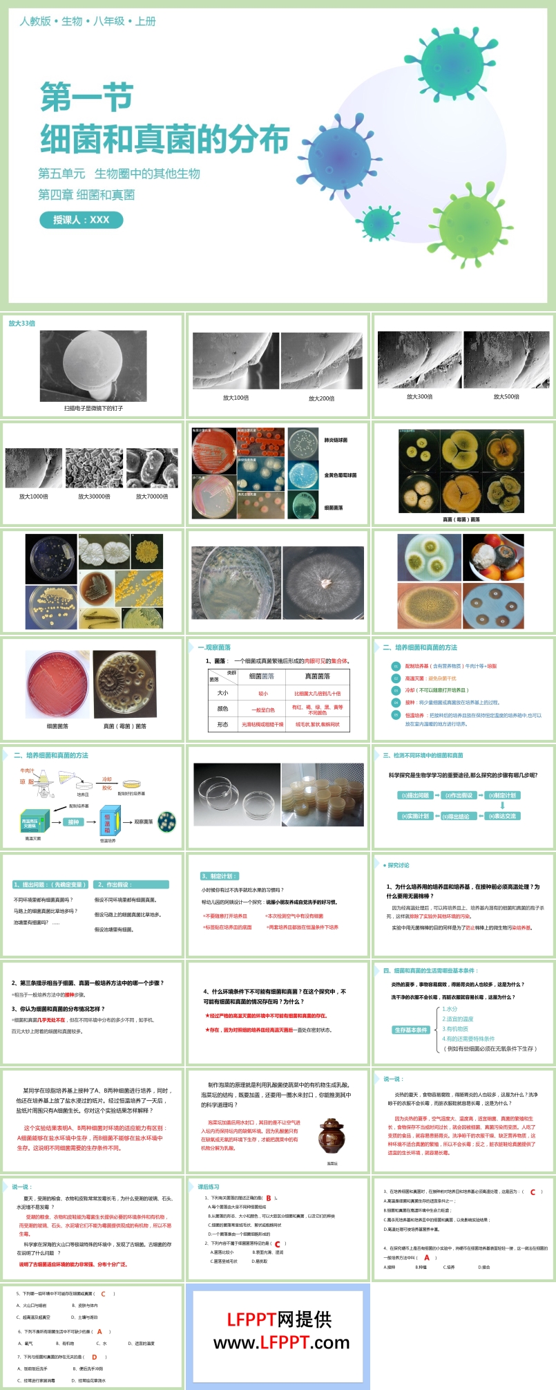 人教版八年级生物上册细菌和真菌的分布课件PPT模板
