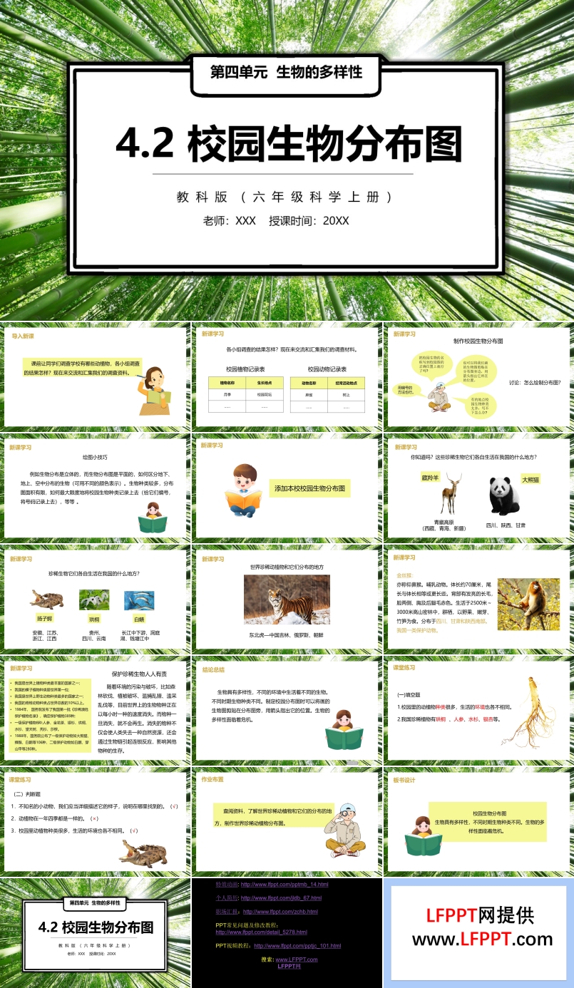 校园生物分布图PPT课件模板教科版六年级科学上册