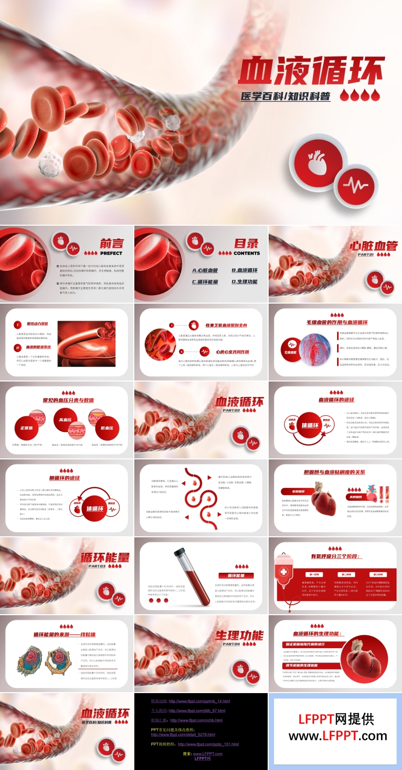 血液循环医学知识PPT课件模板