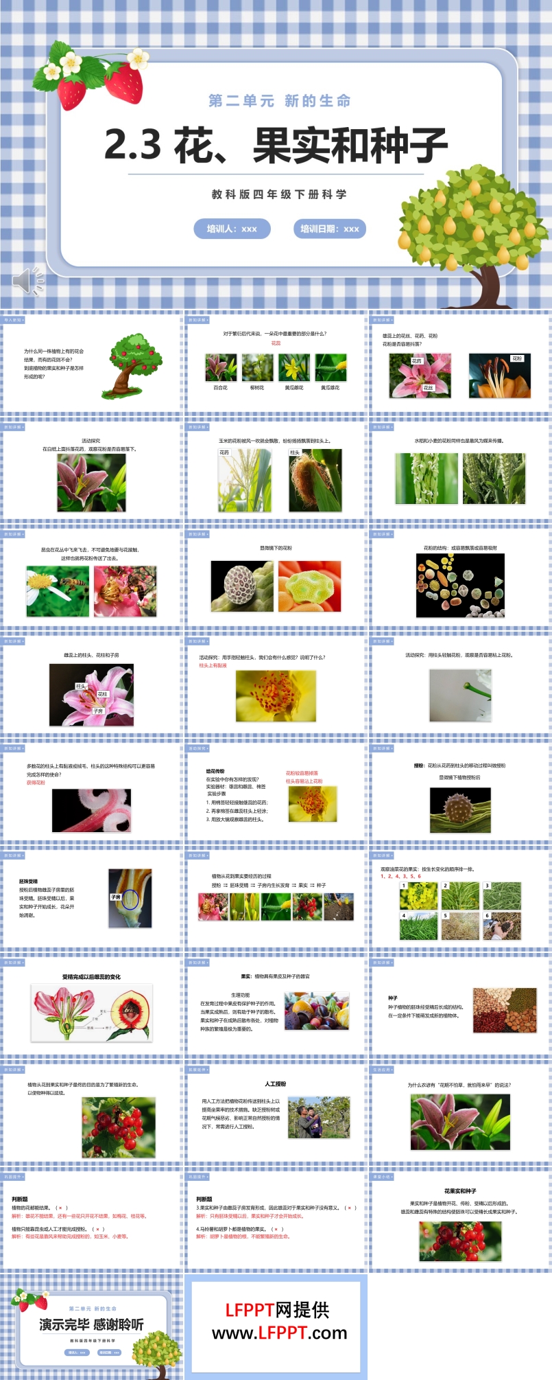 花、果实和种子课件PPT模板教科版四年级下册