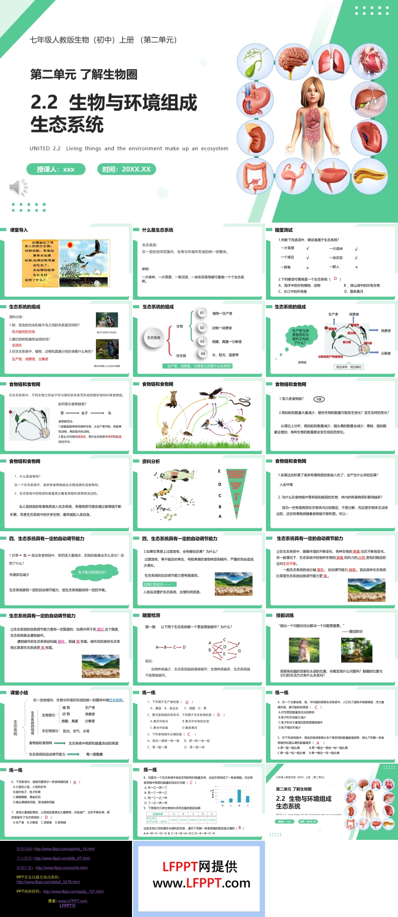 生物与环境组成生态系统课件PPT模板部编版七年级生物上册