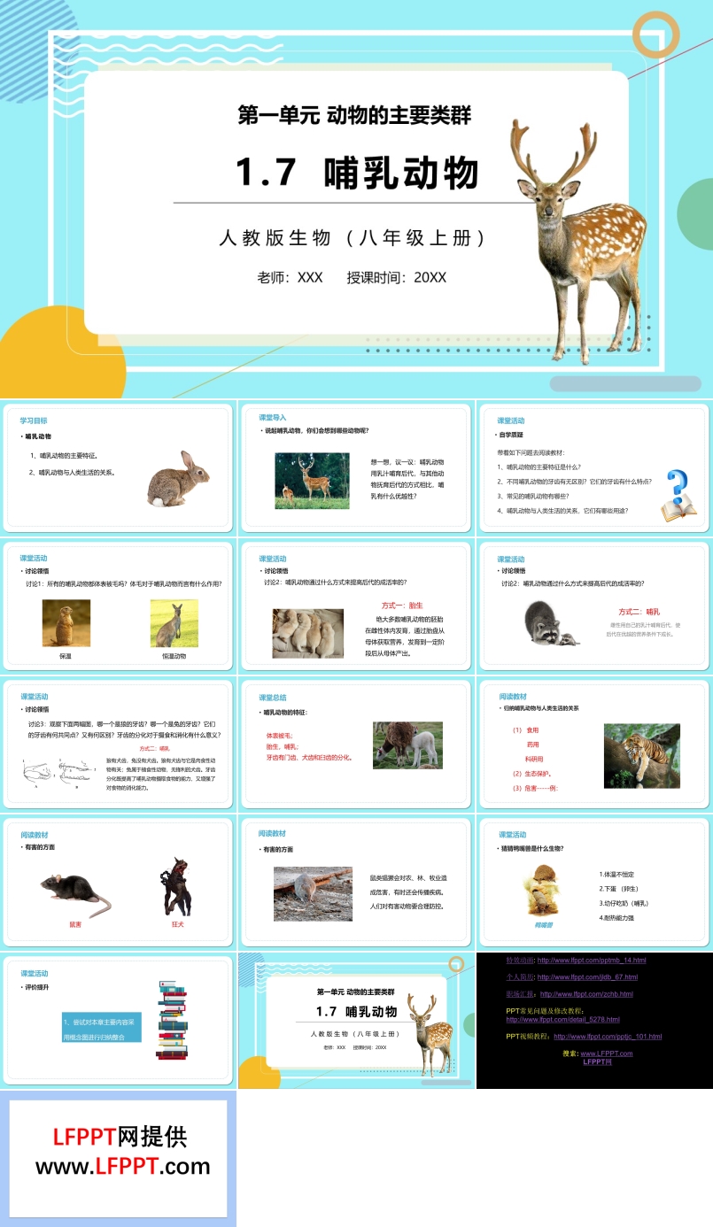 哺乳动物PPT课件模板部编版八年级生物上册