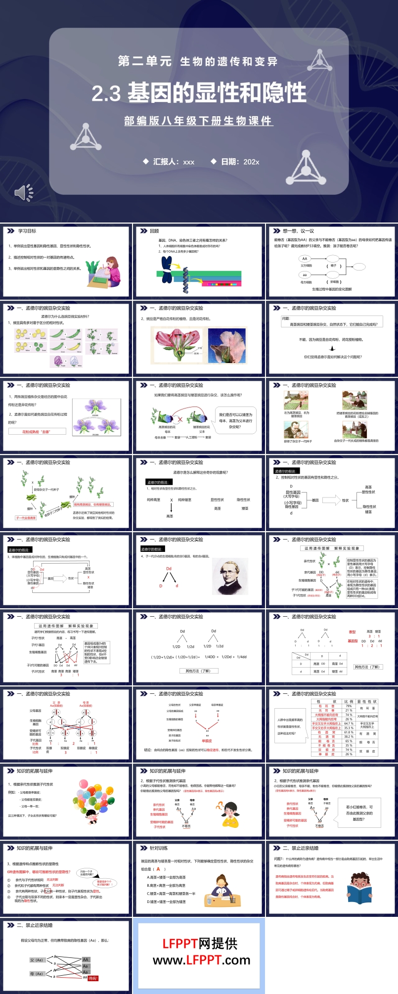 基因的显性和隐性课件PPT模板部编版八年级生物下册