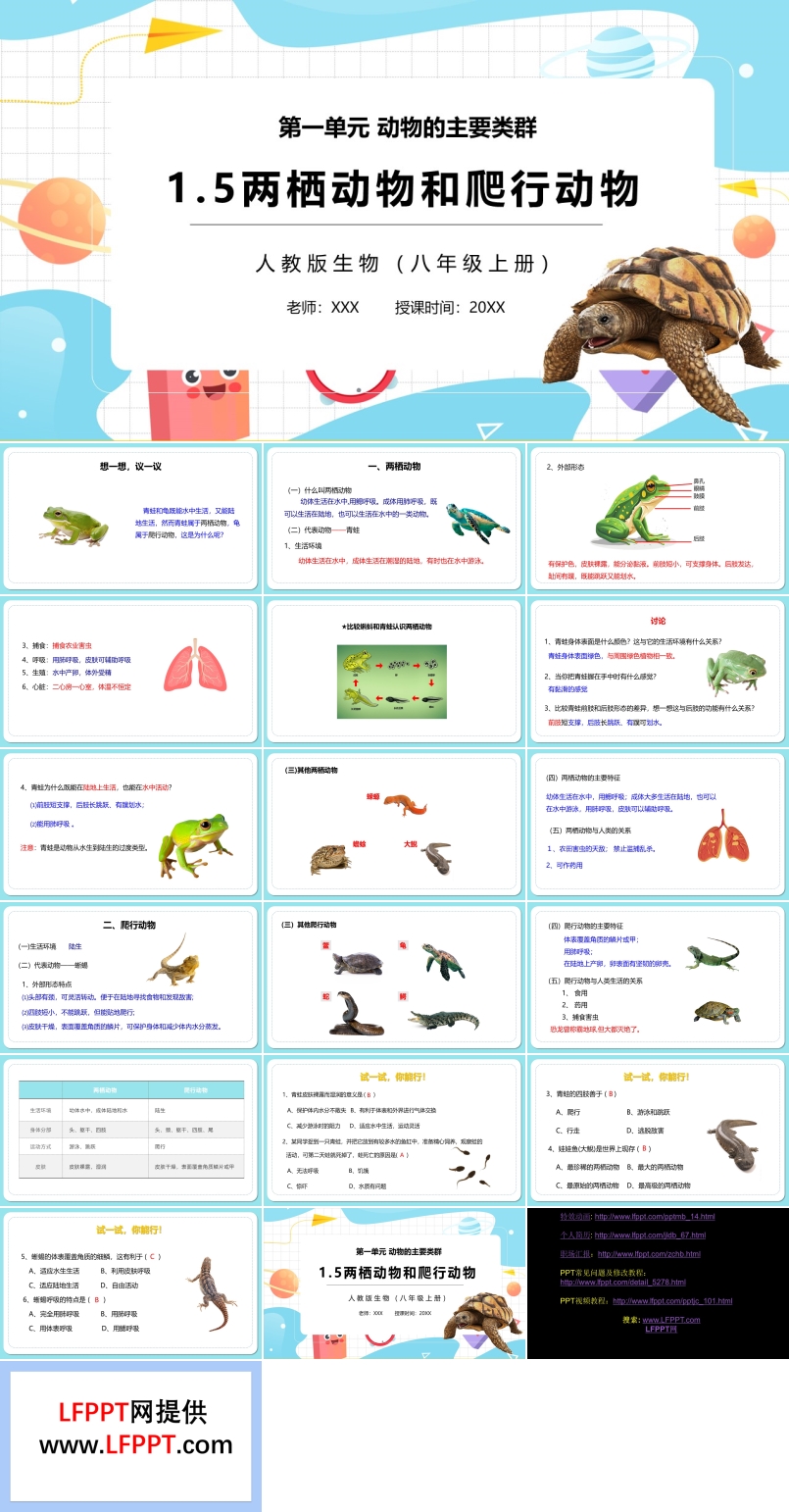 两栖动物和爬行动物PPT课件模板部编版八年级生物上册