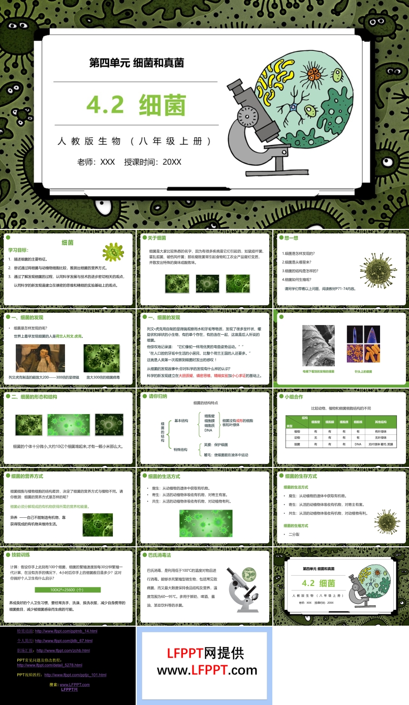 细菌课件PPT模板部编版八年级生物上册