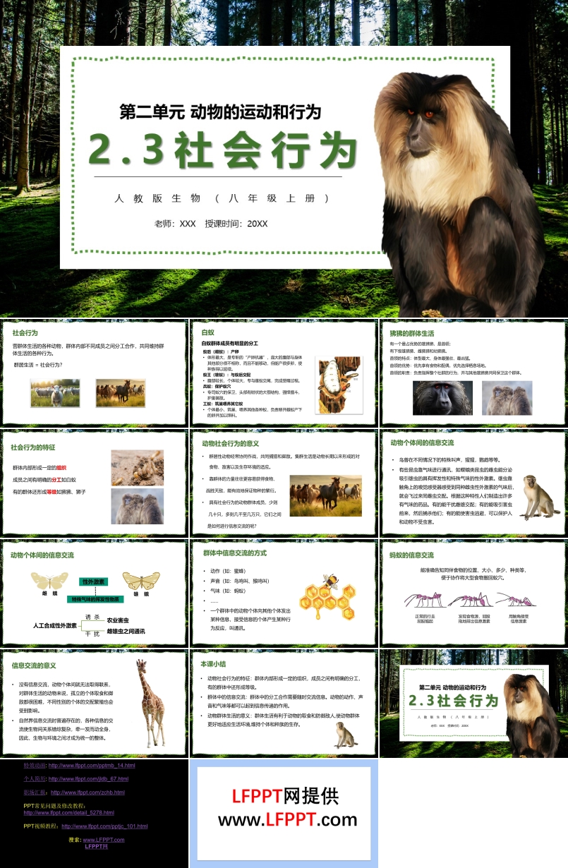 社会行为PPT课件模板部编版八年级生物上册