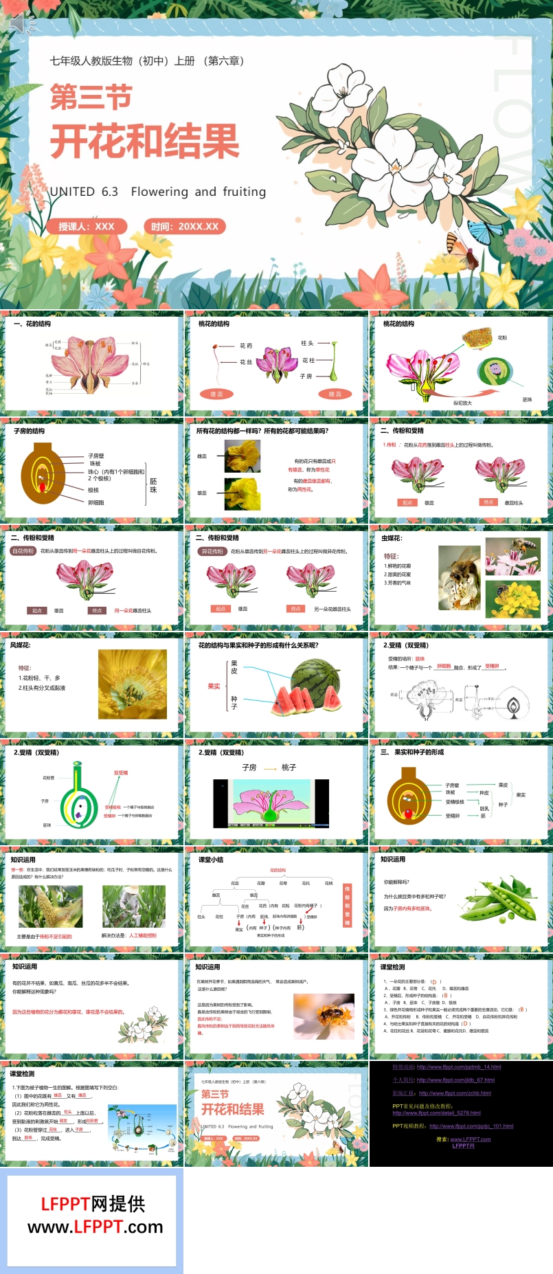 开花和结果课件PPT模板部编版七年级生物上册