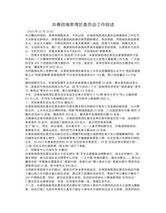 共青团海勃湾区委员会工作综述