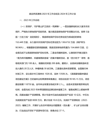 县自然资源局2023年工作总结及2024年工作计划