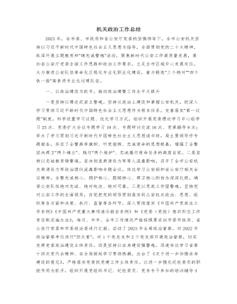 公安政治工作总结4400字