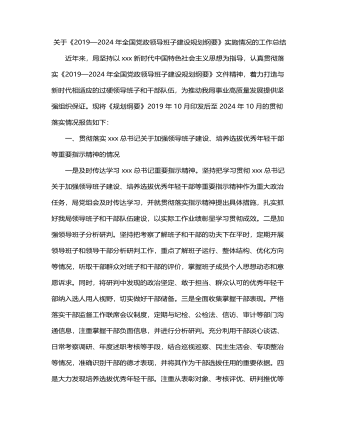 《2019—2024年全国党政领导班子建设规划纲要》实施情况的工作总结3800字