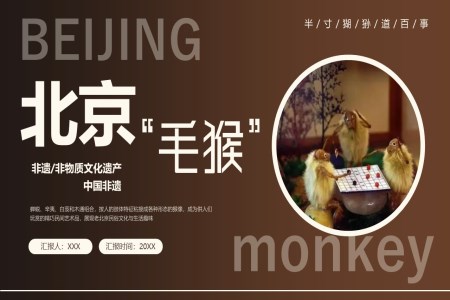 北京非物质文化遗产毛猴PPT课件