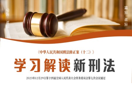 《中华人民共和国刑法修正案（十二）》解读专题学习PPT课件